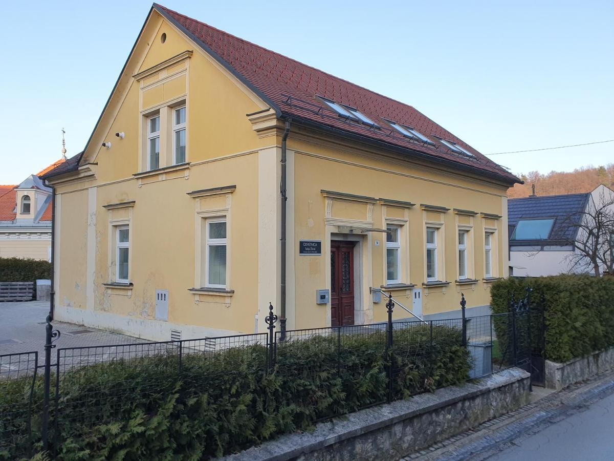 Jantar Apartmaji Novo Mesto Bagian luar foto