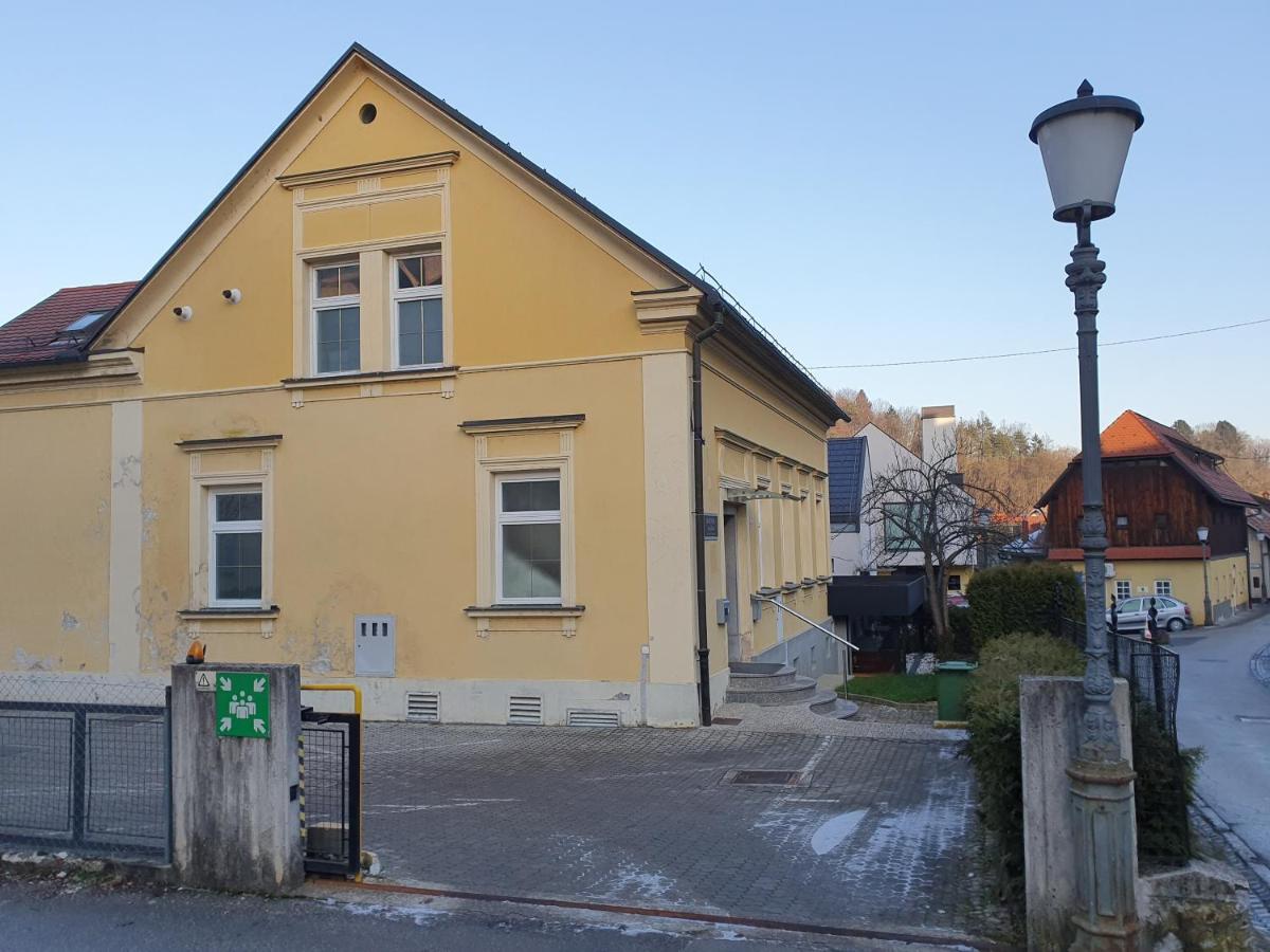 Jantar Apartmaji Novo Mesto Bagian luar foto